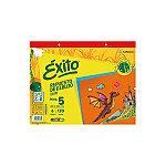 Rep. Éxito Nº5 color 6h L