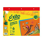 Rep. Éxito Nº6 color 6h L