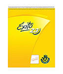Cuad. Éxito 19x24 Z3 C/E48hC