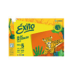 Block Éxito Nº5 color 24h