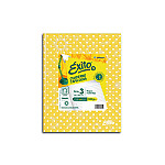 Cuad. Éxito N3 lun amar 48hR