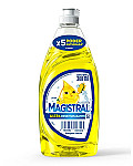 Detergente Magistral 300ml